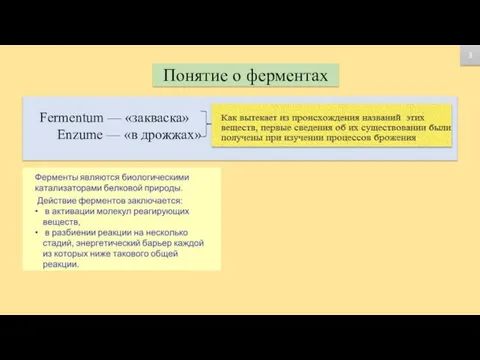 Понятие о ферментах Fermentum — «закваска» Enzume — «в дрожжах» 3