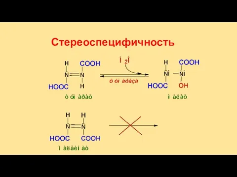 Стереоспецифичность