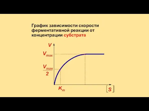 График зависимости скорости ферментативной реакции от концентрации субстрата