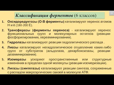 Классификация ферментов (6 классов) Оксидоредуктазы (О-В ферменты) катализируют перенос атомов Н