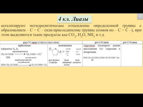 4 кл. Лиазы катализируют негидролитическое отщепление определенной группы с образованием –