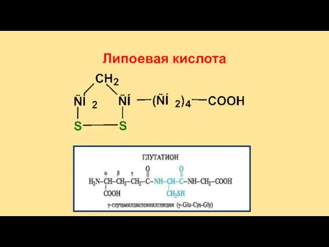 Липоевая кислота