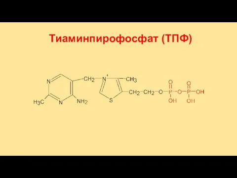 Тиаминпирофосфат (ТПФ)