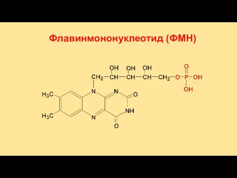 Флавинмононуклеотид (ФМН)