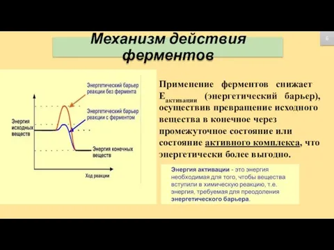 Механизм действия ферментов Применение ферментов снижает Еактивации (энергетический барьер), осуществив превращение