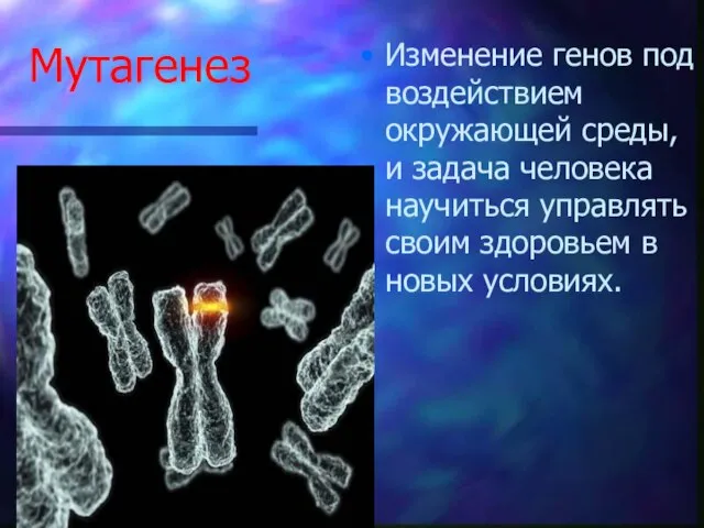 Мутагенез Изменение генов под воздействием окружающей среды, и задача человека научиться