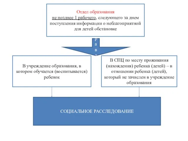 Отдел образования не позднее 1 рабочего, следующего за днем поступления информации