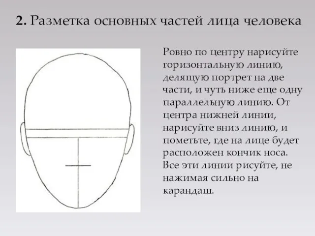 2. Разметка основных частей лица человека Ровно по центру нарисуйте горизонтальную