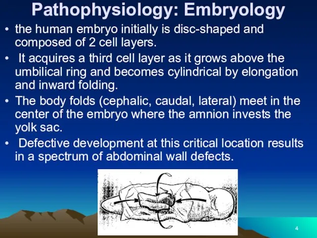 Pathophysiology: Embryology the human embryo initially is disc-shaped and composed of