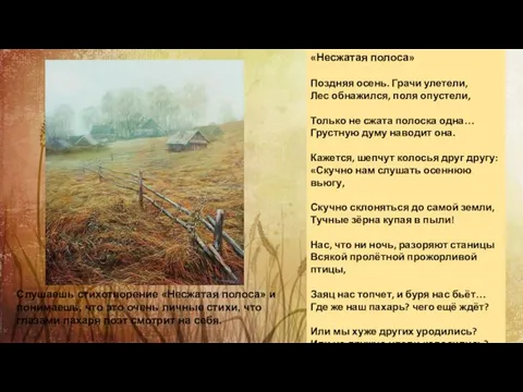 «Несжатая полоса» Поздняя осень. Грачи улетели, Лес обнажился, поля опустели, Только