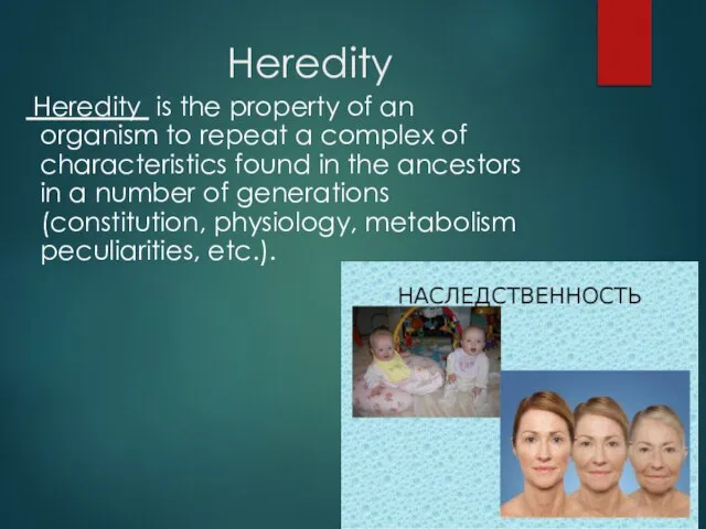 Heredity Heredity is the property of an organism to repeat a