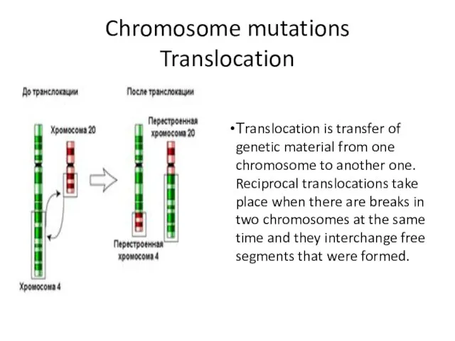 Chromosome mutations Translocation Тranslocation is transfer of genetic material from one