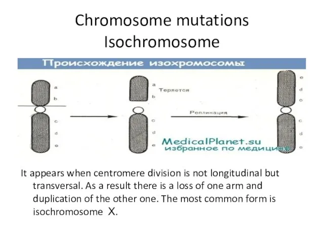 Chromosome mutations Isochromosome It appears when centromere division is not longitudinal