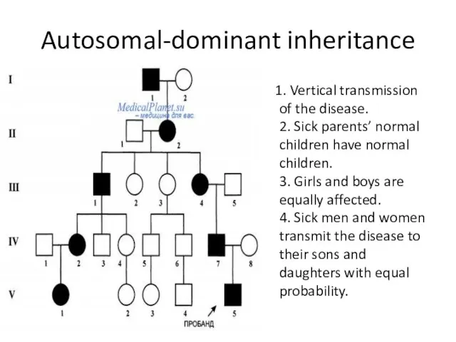 Autosomal-dominant inheritance 1. Vertical transmission of the disease. 2. Sick parents’