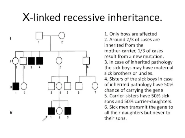 Х-linked recessive inheritance. 1. Only boys are affected 2. Around 2/3