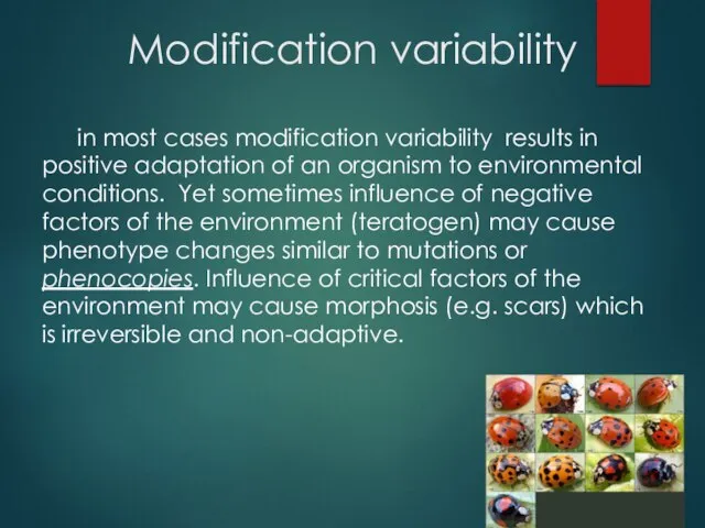 Modification variability in most cases modification variability results in positive adaptation