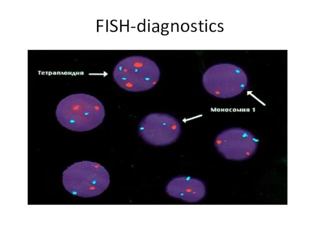 FISH-diagnostics