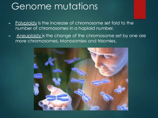 Genome mutations Polyploidy is the increase of chromosome set fold to