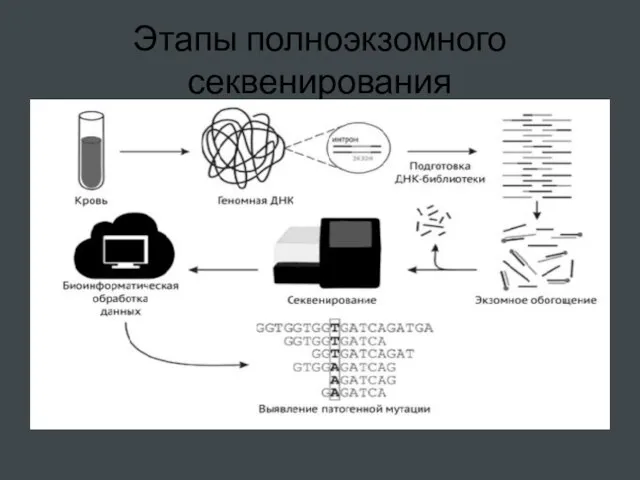 Этапы полноэкзомного секвенирования