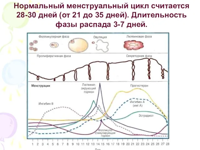 Нормальный менструальный цикл считается 28-30 дней (от 21 до 35 дней). Длительность фазы распада 3-7 дней.