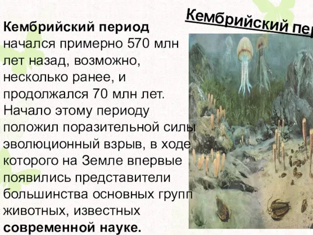 Кембрийский период Кембрийский период начался примерно 570 млн лет назад, возможно,