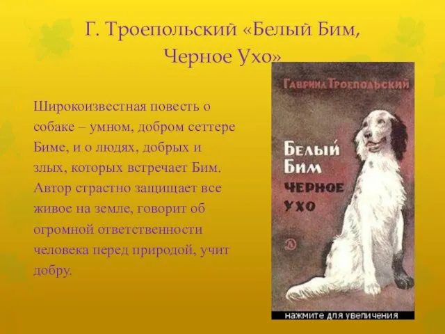 Г. Троепольский «Белый Бим, Черное Ухо» Широкоизвестная повесть о собаке –