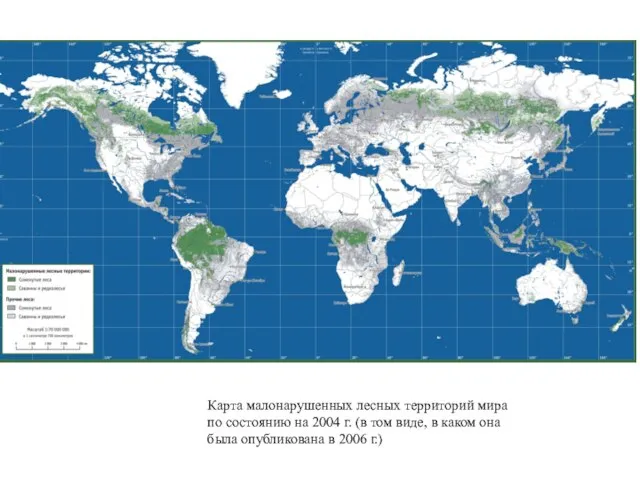 Карта малонарушенных лесных территорий мира по состоянию на 2004 г. (в