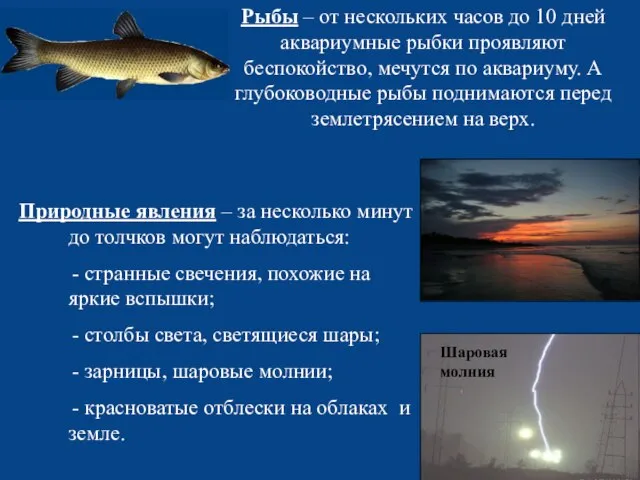 Рыбы – от нескольких часов до 10 дней аквариумные рыбки проявляют