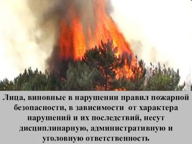 Лица, виновные в нарушении правил пожарной безопасности, в зависимости от характера