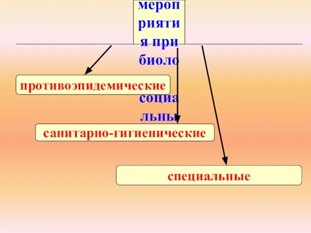 Профилактические мероприятия при биолого-социальных ЧС: противоэпидемические специальные санитарно-гигиенические