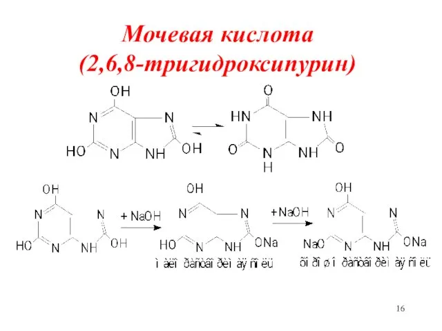 Мочевая кислота (2,6,8-тригидроксипурин)