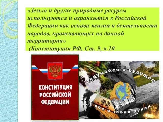 «Земля и другие природные ресурсы используются и охраняются в Российской Федерации