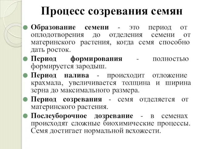 Процесс созревания семян Образование семени - это период от оплодотворения до