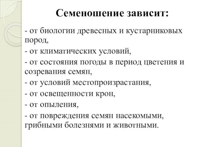 Семеношение зависит: - от биологии древесных и кустарниковых пород, - от