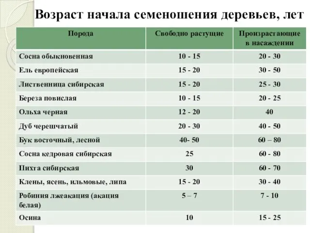 Возраст начала семеношения деревьев, лет