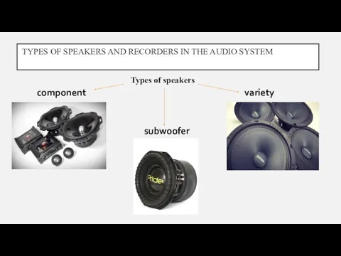 TYPES OF SPEAKERS AND RECORDERS IN THE AUDIO SYSTEM Types of speakers component variety subwoofer