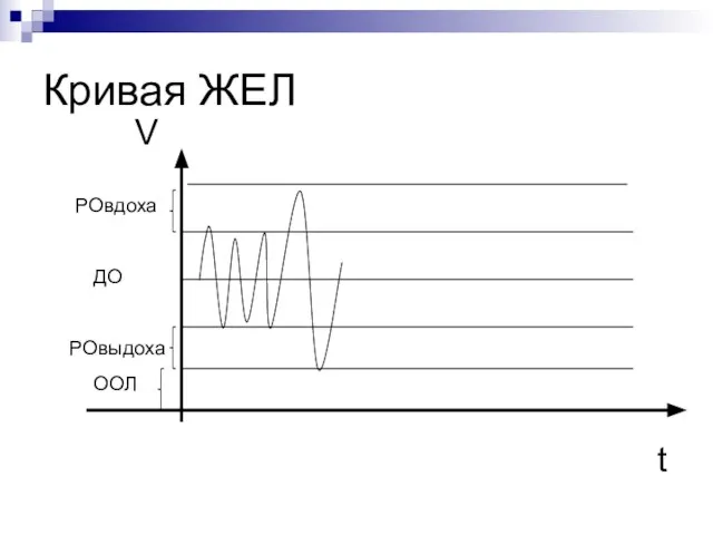 Кривая ЖЕЛ