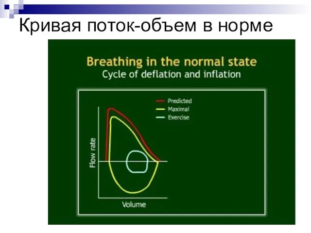 Кривая поток-объем в норме