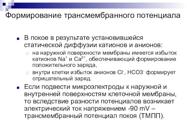 Формирование трансмембранного потенциала В покое в результате установившейся статической диффузии катионов