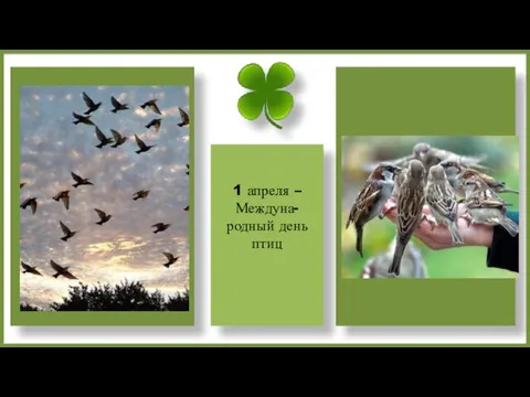 1 апреля – Междуна-родный день птиц