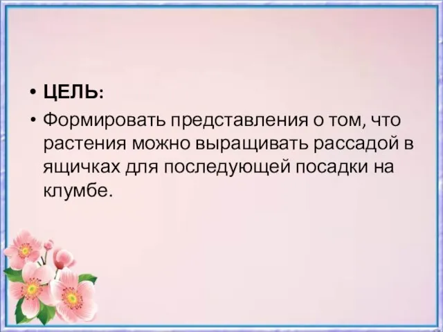 ЦЕЛЬ: Формировать представления о том, что растения можно выращивать рассадой в