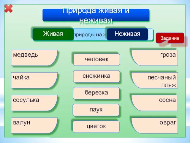 Природа живая и неживая Раздели тела природы на живые и неживые