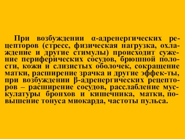 При возбуждении α-адренергических ре- цепторов (стресс, физическая нагрузка, охла-ждение и другие