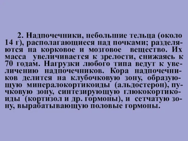 2. Надпочечники, небольшие тельца (около 14 г), располагающиеся над почками; разделя-ются