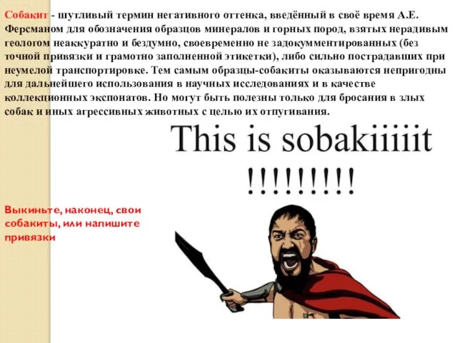 Собакит - шутливый термин негативного оттенка, введённый в своё время А.Е.