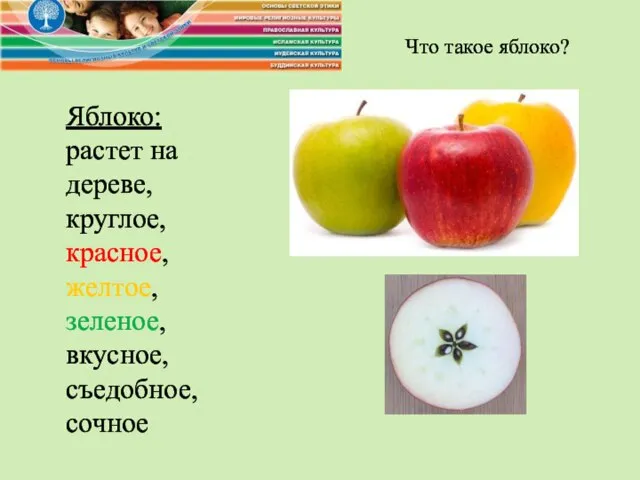 Яблоко: растет на дереве, круглое, красное, желтое, зеленое, вкусное, съедобное, сочное Что такое яблоко?