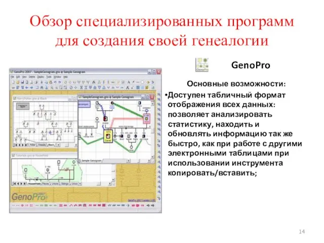 Обзор специализированных программ для создания своей генеалогии GenoPro Основные возможности: Доступен