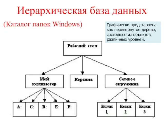 Иерархическая база данных Графически представлена как перевернутое дерево, состоящее из объектов различных уровней. (Каталог папок Windows)