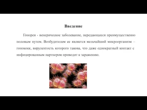 Введение Гонорея - венерическое заболевание, передающееся преимущественно половым путем. Возбудителем ее