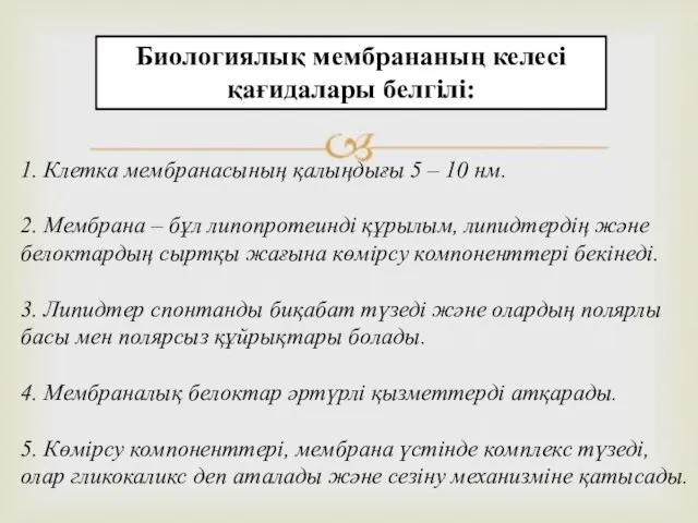 Биологиялық мембрананың келесі қағидалары белгілі: 1. Клетка мембранасының қалыңдығы 5 –